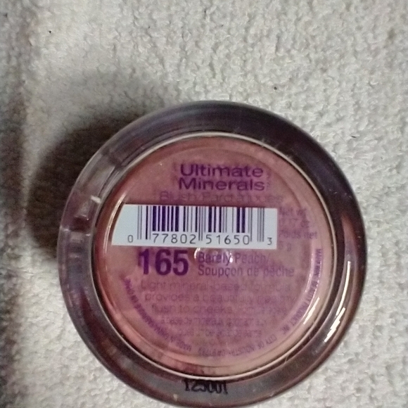 Wet n wild ultimate minerals loose blush 165 barely peach - Picture 2 of 2